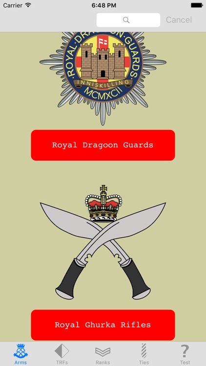Army Insignia