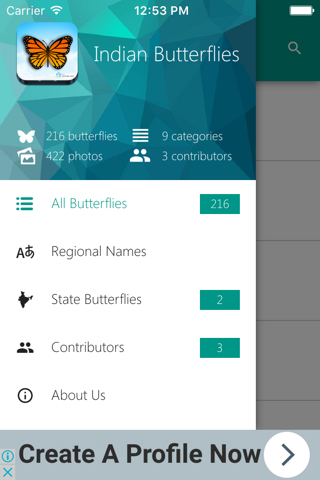 Indian Butterflies - náhled