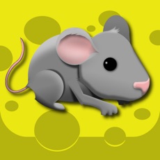 Activities of Rodent Rush - Puzzle Challenge Cheese Chips