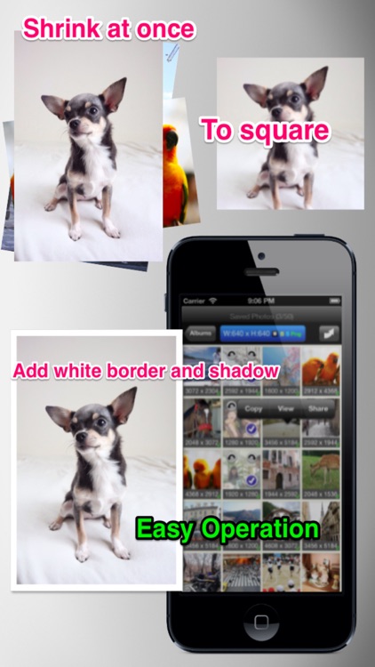 BatchResizer - Quickly Resize Multiple Photos