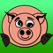 Get the latest hit for iPhone and iPad - Angry Hogs