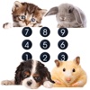 Calculator Pets HD