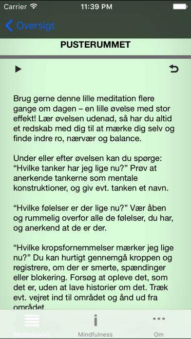 iPhone Screenshot 2