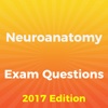 Neuroanatomy Exam Questions 2017 Edition