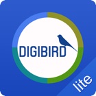 DigiBird Videowall Lite