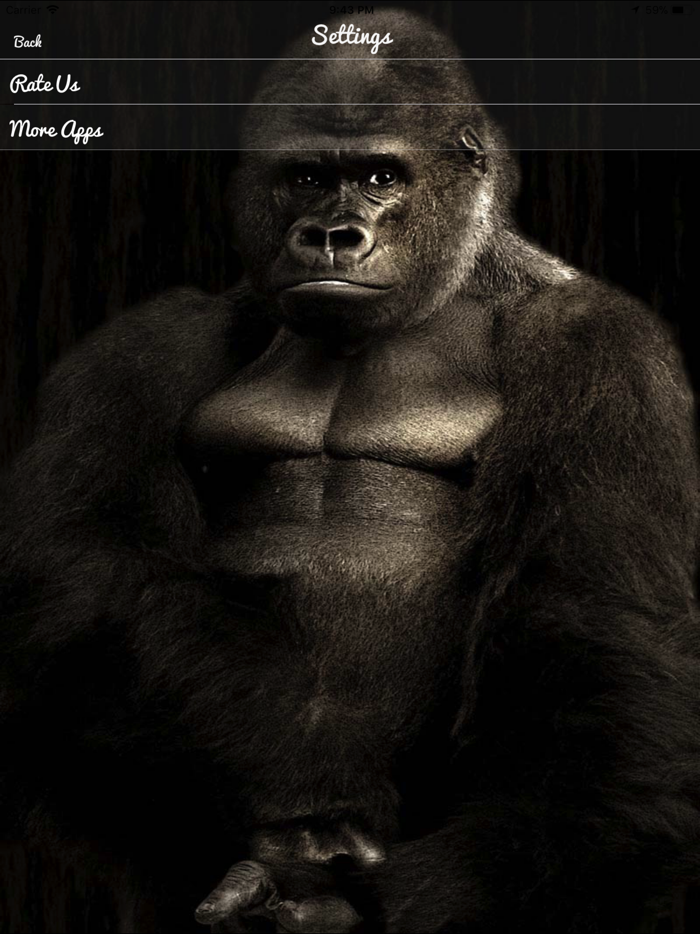 Gorilla Monkey Sounds