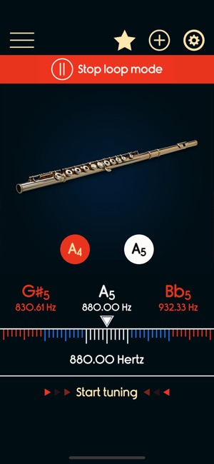 Flute Tuner(圖3)-速報App