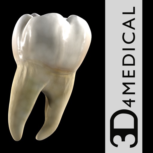 Dental Patient Education icon