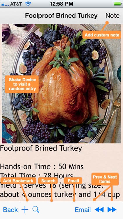350 Turkey Recipes screenshot-4