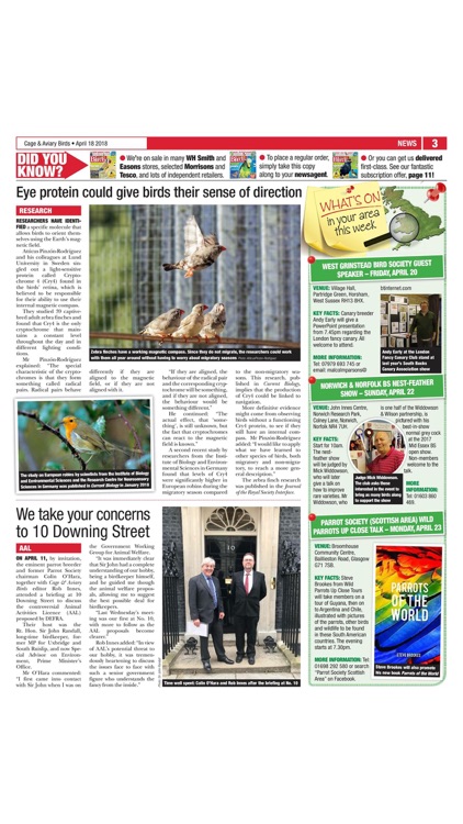 Cage & Aviary Birds