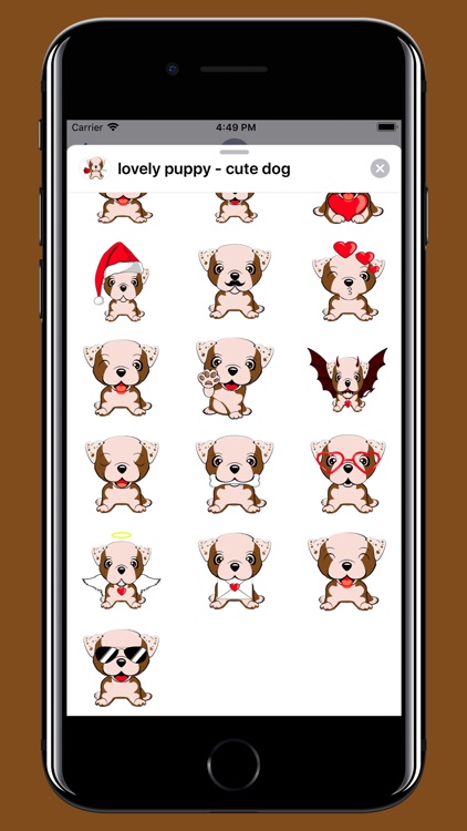 Lovely puppy - Cute dog