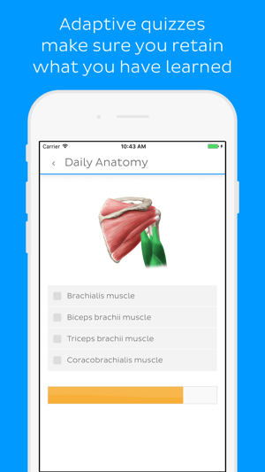 Daily Anatomy Flashcards(圖3)-速報App