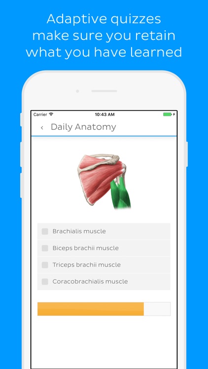 Daily Anatomy Flashcards