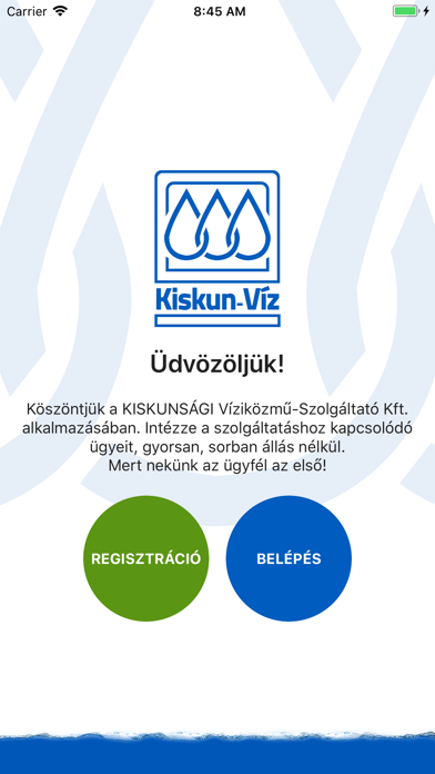 Kiskunvíz screenshot 2