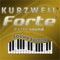 This is Kurzweil Forte Sound Editor for iPad