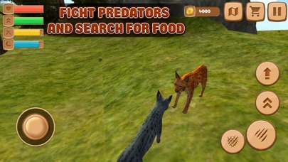 Wild Lynx Animal Life screenshot 3