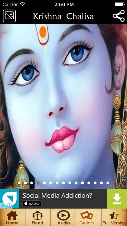 Krishna - Chalisa screenshot-4