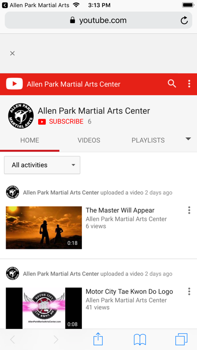 Allen Park Martial Arts screenshot 3