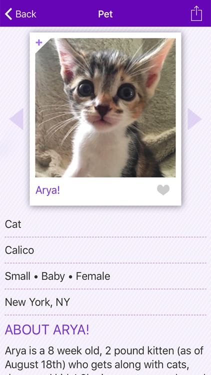 Petfinder Mobile