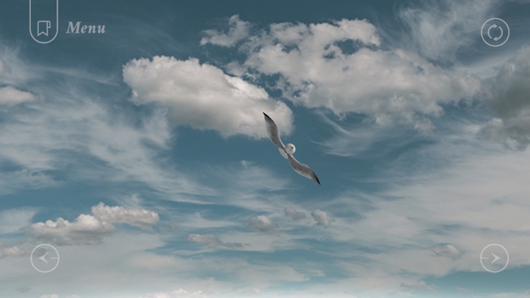 Jonathan Livingston Seagull 1 screenshot-3