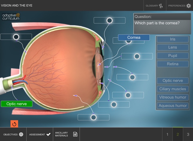 Vision and the Eye(圖3)-速報App