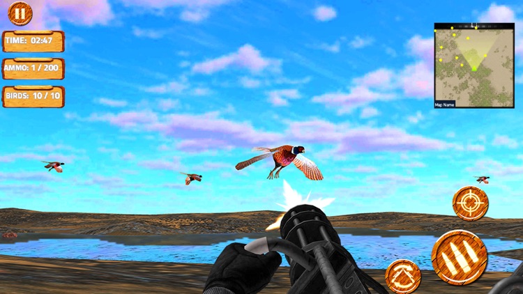 Pheasant Bow Hunting Pro screenshot-3