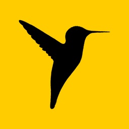 蜂鸟打卡(StudyLife)-海内外高强度学习考试必备