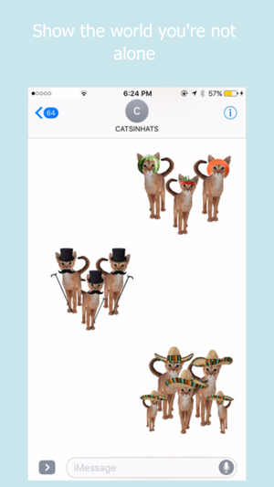 Cats in Hats Emoji Keyboard(圖4)-速報App