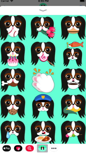 Tri Color Japanese Chin(圖5)-速報App