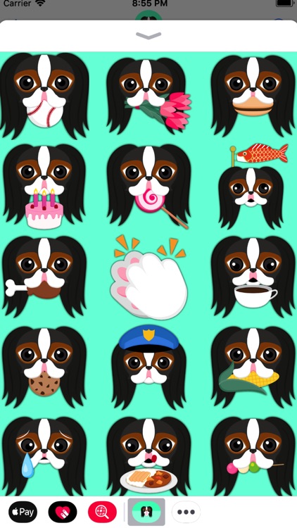 Tri Color Japanese Chin screenshot-4