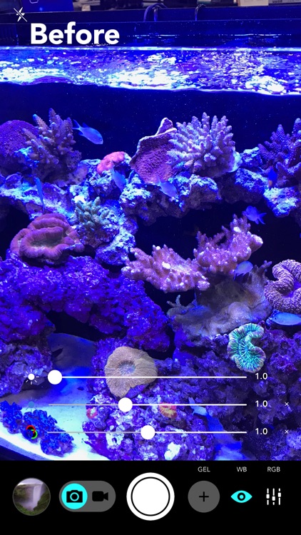 Aquarium Camera screenshot-0