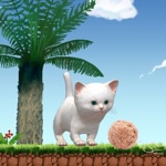 Run Kitten Run