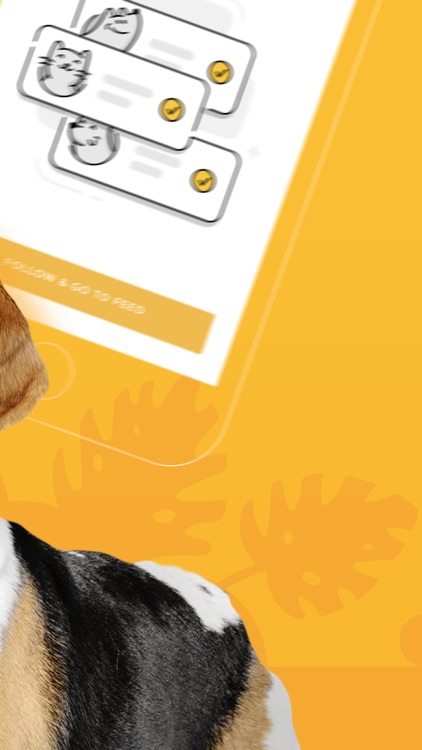 Petcube