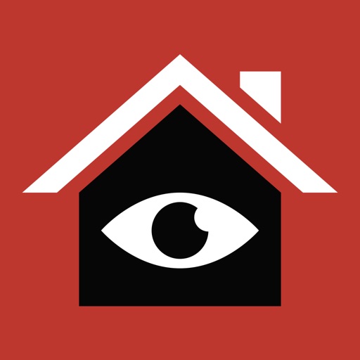 NextView Remote Video Camera Surveillance Icon