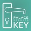 Palace Mobile Key