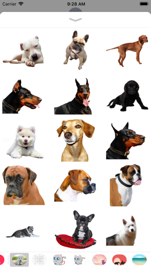 Realistic Dog Stickers(圖1)-速報App