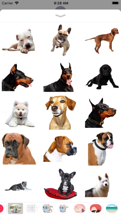 Realistic Dog Stickers