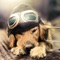 Dog Wallpapers HD app provides all of emotion face of cute dogs in the real world