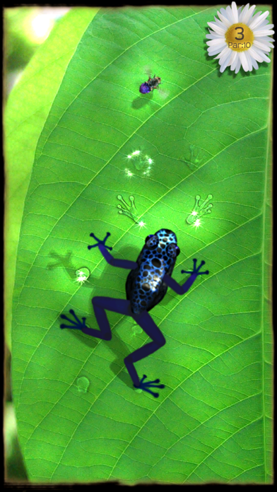 Ancient Frog screenshot1