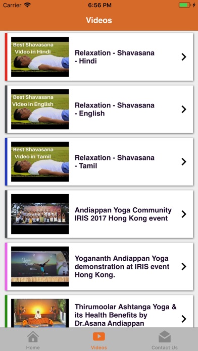 Asana screenshot 4