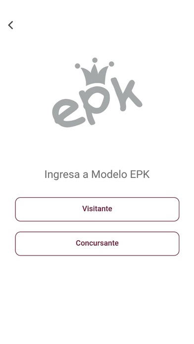 Modelo EPK screenshot 2