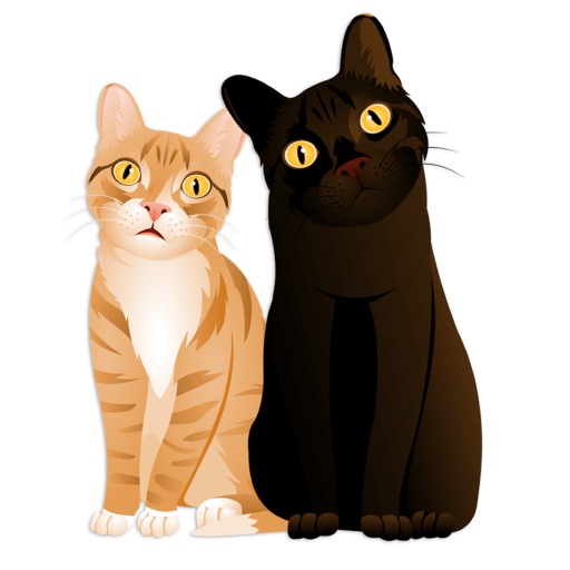 CamMoji by Cole and Marmalade Icon