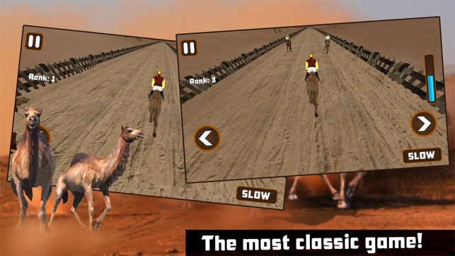 Camel Race : Desert Adventure(圖4)-速報App