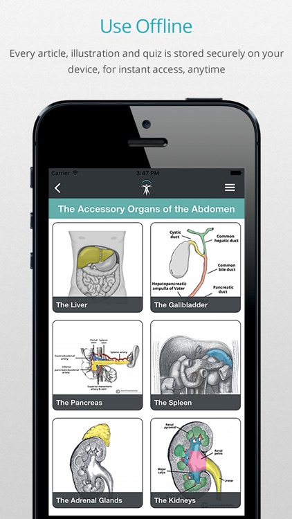 Teach Me Anatomy screenshot-4