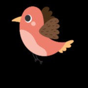 DigiWings