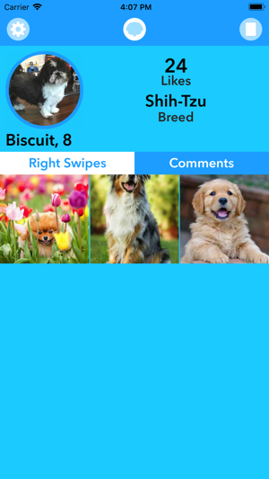 Fetch - Social Media For Dogs(圖2)-速報App