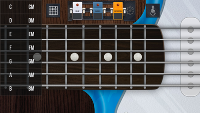 How to cancel & delete Simulator of the Real guitar from iphone & ipad 1
