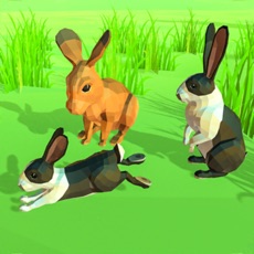 Activities of Poly Art Rabbit Simulator