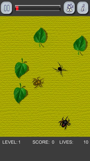 Kill the spiders! Black Widow(圖5)-速報App