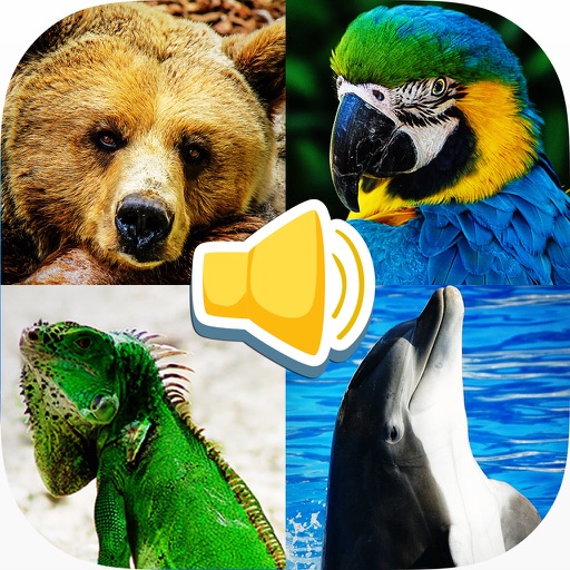 Animal sounds recognize animal iOS App